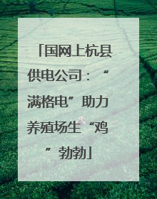 国网上杭县供电公司：“满格电”助力养殖场生“鸡”勃勃