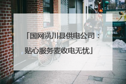 国网潢川县供电公司：贴心服务麦收电无忧