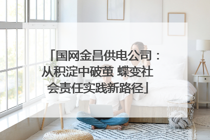 国网金昌供电公司：从积淀中破茧 蝶变社会责任实践新路径