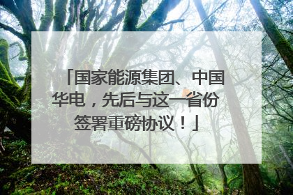 国家能源集团、中国华电，先后与这一省份签署重磅协议！