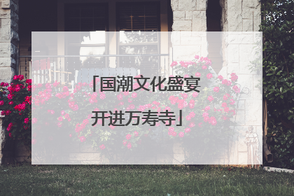 国潮文化盛宴开进万寿寺