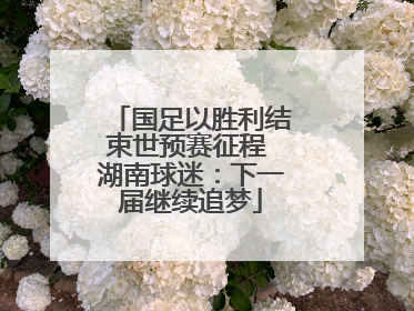 国足以胜利结束世预赛征程 湖南球迷：下一届继续追梦