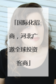 国际化招商，河北广邀全球投资客商