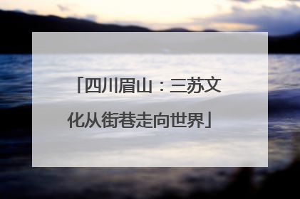 四川眉山：三苏文化从街巷走向世界