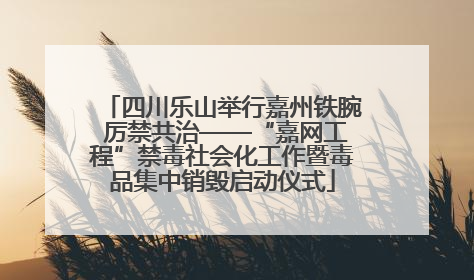 四川乐山举行嘉州铁腕 厉禁共治——“嘉网工程”禁毒社会化工作暨毒品集中销毁启动仪式
