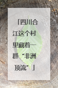 四川合江这个村里藏着一群“非洲顶流”