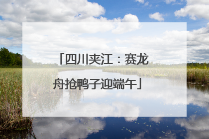 四川夹江：赛龙舟抢鸭子迎端午