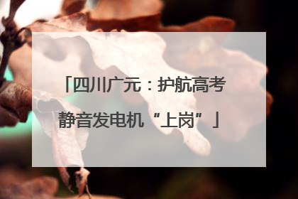 四川广元：护航高考 静音发电机“上岗”