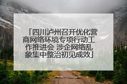 四川泸州召开优化营商网络环境专项行动工作推进会 涉企网络乱象集中整治初见成效
