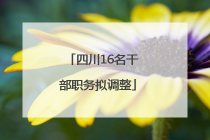四川16名干部职务拟调整
