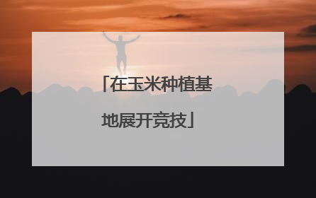 在玉米种植基地展开竞技