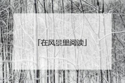 在风景里阅读