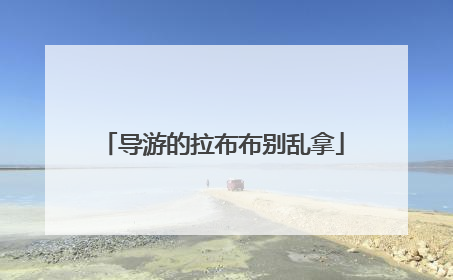 导游的拉布布别乱拿
