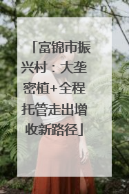 富锦市振兴村：大垄密植+全程托管走出增收新路径