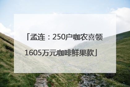 孟连：250户咖农喜领1605万元咖啡鲜果款