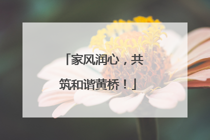 家风润心，共筑和谐黄桥！