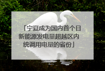 宁夏成为国内首个日新能源发电量超越区内统调用电量的省份
