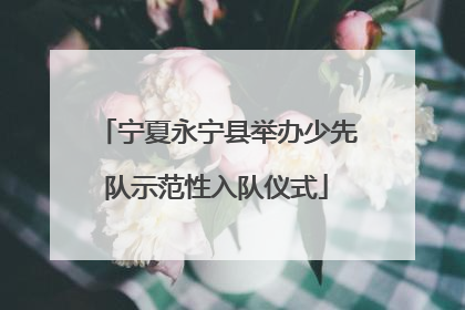 宁夏永宁县举办少先队示范性入队仪式
