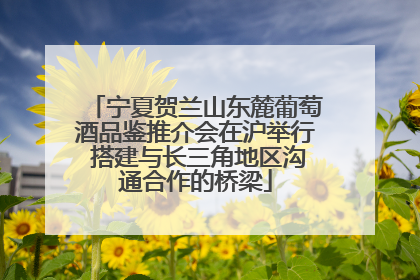 宁夏贺兰山东麓葡萄酒品鉴推介会在沪举行 搭建与长三角地区沟通合作的桥梁