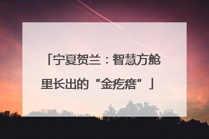 宁夏贺兰：智慧方舱里长出的“金疙瘩”