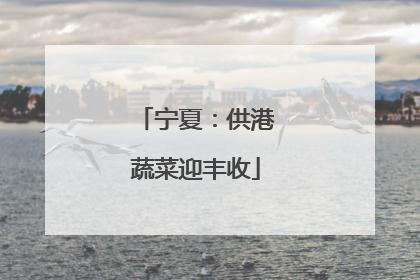 宁夏：供港蔬菜迎丰收