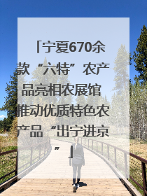 宁夏670余款“六特”农产品亮相农展馆 推动优质特色农产品“出宁进京”