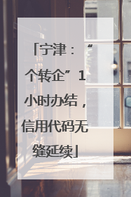 宁津：“个转企”1小时办结，信用代码无缝延续