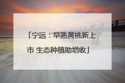 宁远：早熟黄桃新上市 生态种植助增收