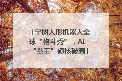 宇树人形机器人全球“格斗秀”，AI“拳王”硬核破圈