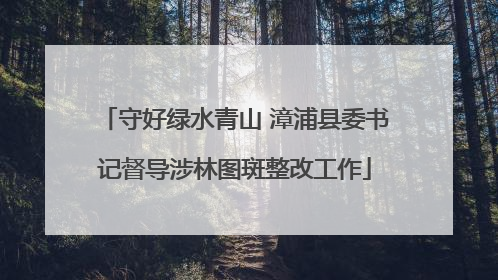 守好绿水青山 漳浦县委书记督导涉林图斑整改工作