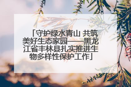 守护绿水青山 共筑美好生态家园——黑龙江省丰林县扎实推进生物多样性保护工作