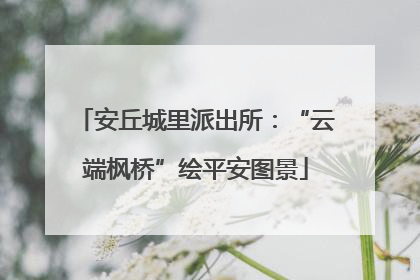 安丘城里派出所：“云端枫桥”绘平安图景