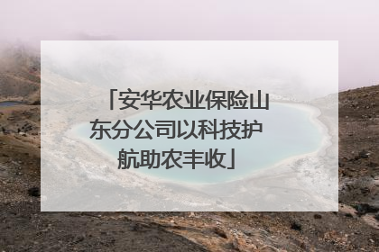 安华农业保险山东分公司以科技护航助农丰收