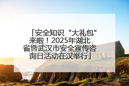 安全知识“大礼包”来啦！2025年湖北省暨武汉市安全宣传咨询日活动在汉举行