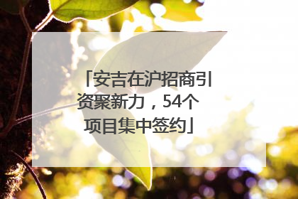 安吉在沪招商引资聚新力，54个项目集中签约