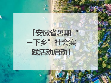 安徽省暑期“三下乡”社会实践活动启动
