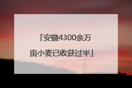 安徽4300余万亩小麦已收获过半