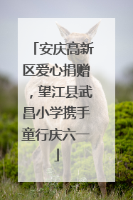 安庆高新区爱心捐赠，望江县武昌小学携手童行庆六一