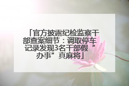 官方披露纪检监察干部查案细节：调取停车记录发现3名干部假“办事”真麻将
