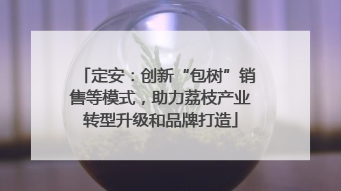 定安：创新“包树”销售等模式，助力荔枝产业转型升级和品牌打造