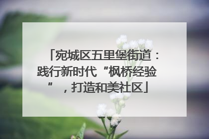 宛城区五里堡街道：践行新时代“枫桥经验”，打造和美社区