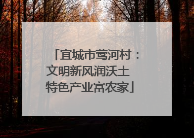 宜城市莺河村：文明新风润沃土 特色产业富农家