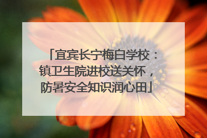 宜宾长宁梅白学校：镇卫生院进校送关怀，防暑安全知识润心田