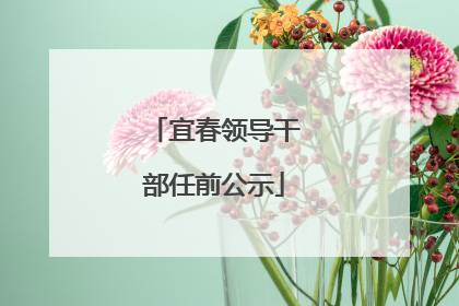 宜春领导干部任前公示