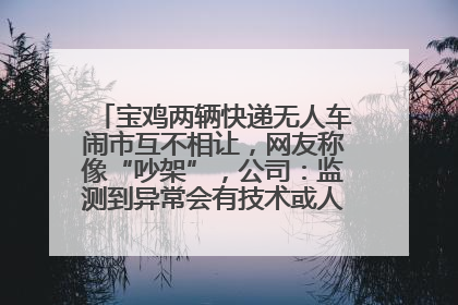 宝鸡两辆快递无人车闹市互不相让，网友称像“吵架”，公司：监测到异常会有技术或人为干预处置
