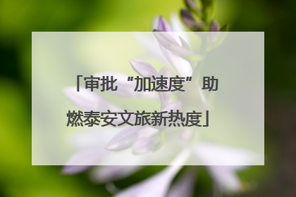 审批“加速度”助燃泰安文旅新热度