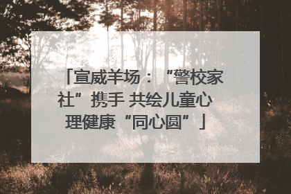 宣威羊场：“警校家社”携手 共绘儿童心理健康“同心圆”