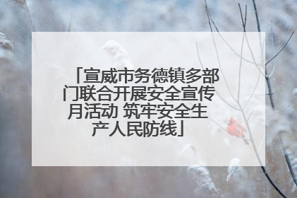宣威市务德镇多部门联合开展安全宣传月活动 筑牢安全生产人民防线