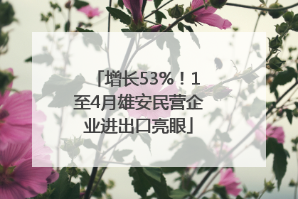 增长53%！1至4月雄安民营企业进出口亮眼