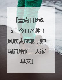 壹点日历6.5｜今日芒种！风吹麦成浪，蝉鸣夏始忙！大家早安